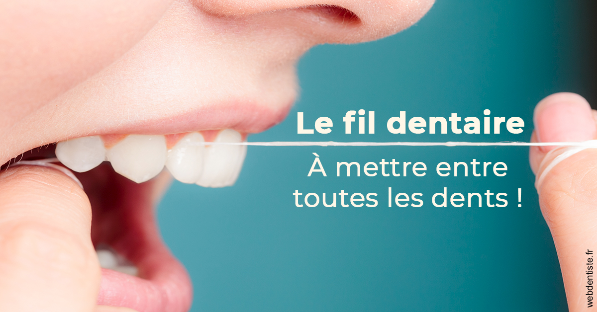 https://dr-gaillard-frederique.chirurgiens-dentistes.fr/Le fil dentaire 2