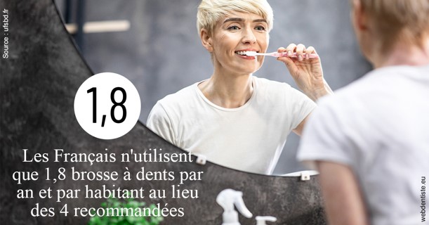 https://dr-gaillard-frederique.chirurgiens-dentistes.fr/Français brosses 2