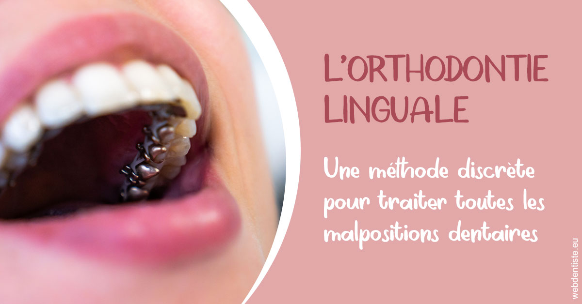 https://dr-gaillard-frederique.chirurgiens-dentistes.fr/L'orthodontie linguale 2