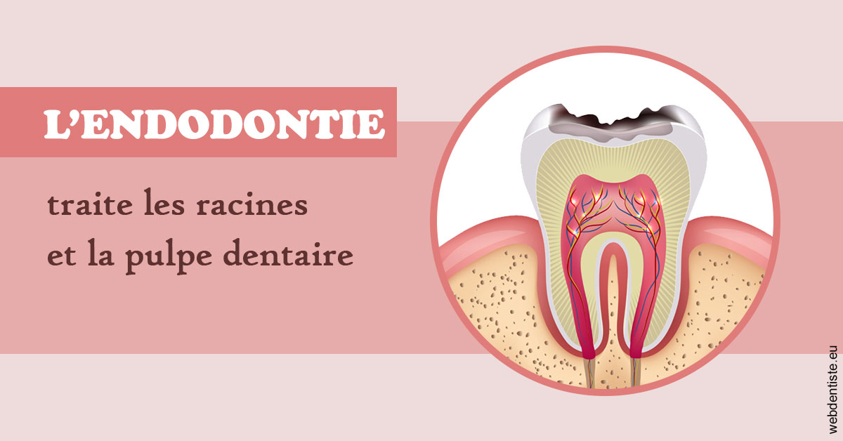 https://dr-gaillard-frederique.chirurgiens-dentistes.fr/L'endodontie 2
