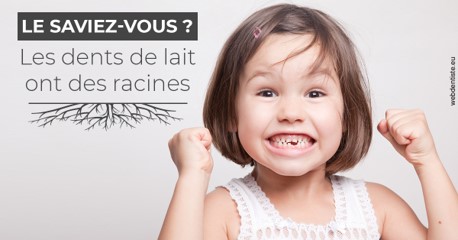 https://dr-gaillard-frederique.chirurgiens-dentistes.fr/Les dents de lait